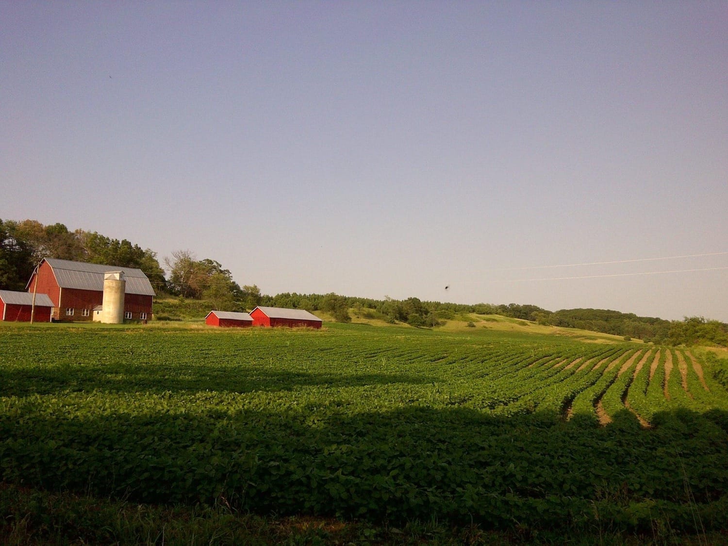 The Bee family farm in Wisconsin. 2011